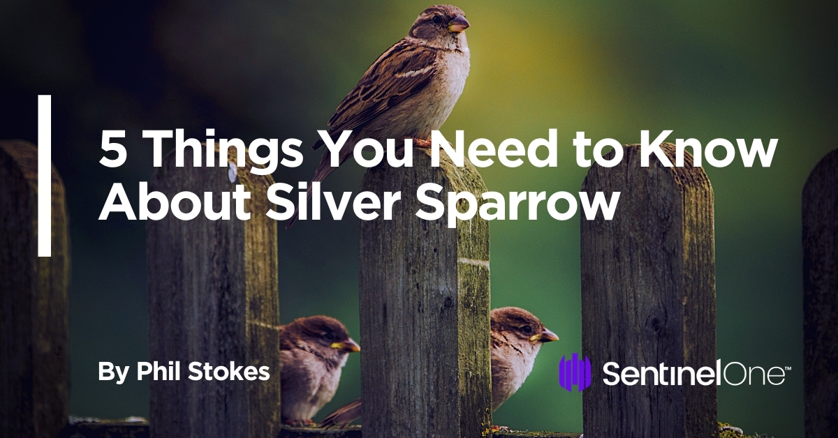 5 Things You Need to Know About Silver Sparrow