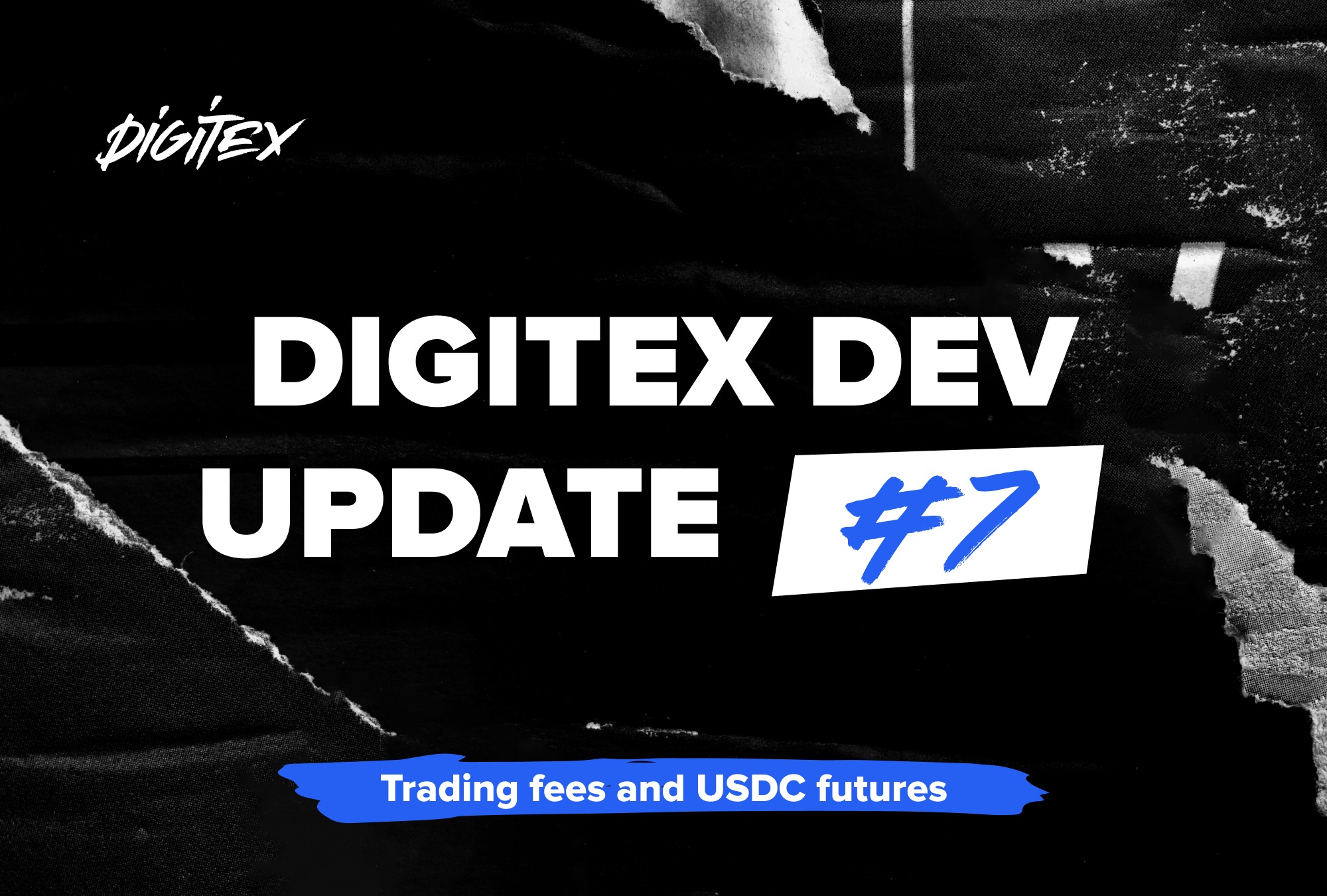 Digitex dev update #7: Trading fees and USDC futures