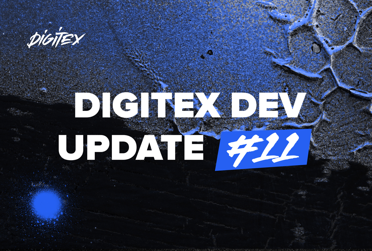 Digitex dev update #11: WebSocket API description release, Python client for REST Trading API & DUSD comeback